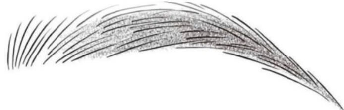 Hand-drawn example of a combination eyebrow
